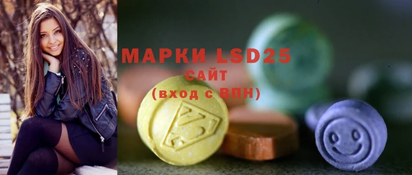 ГАЛЛЮЦИНОГЕННЫЕ ГРИБЫ Корсаков