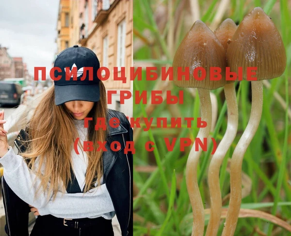 прущая мука Костерёво