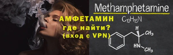 ГАЛЛЮЦИНОГЕННЫЕ ГРИБЫ Корсаков