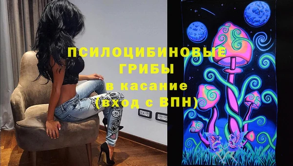 ГАЛЛЮЦИНОГЕННЫЕ ГРИБЫ Корсаков