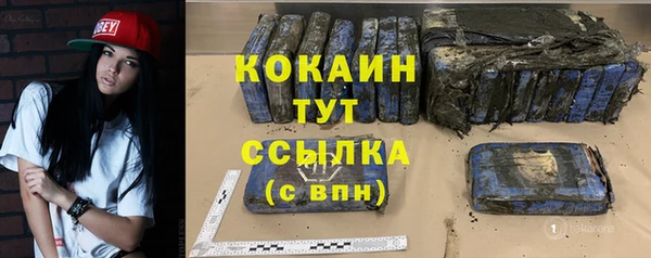 ГАЛЛЮЦИНОГЕННЫЕ ГРИБЫ Корсаков