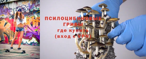 молекула духа Краснотурьинск
