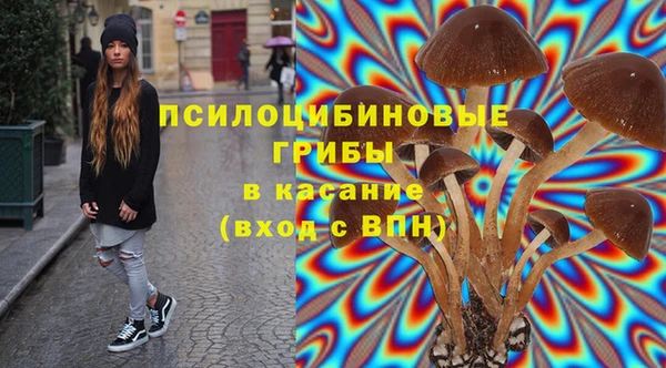 прущая мука Костерёво